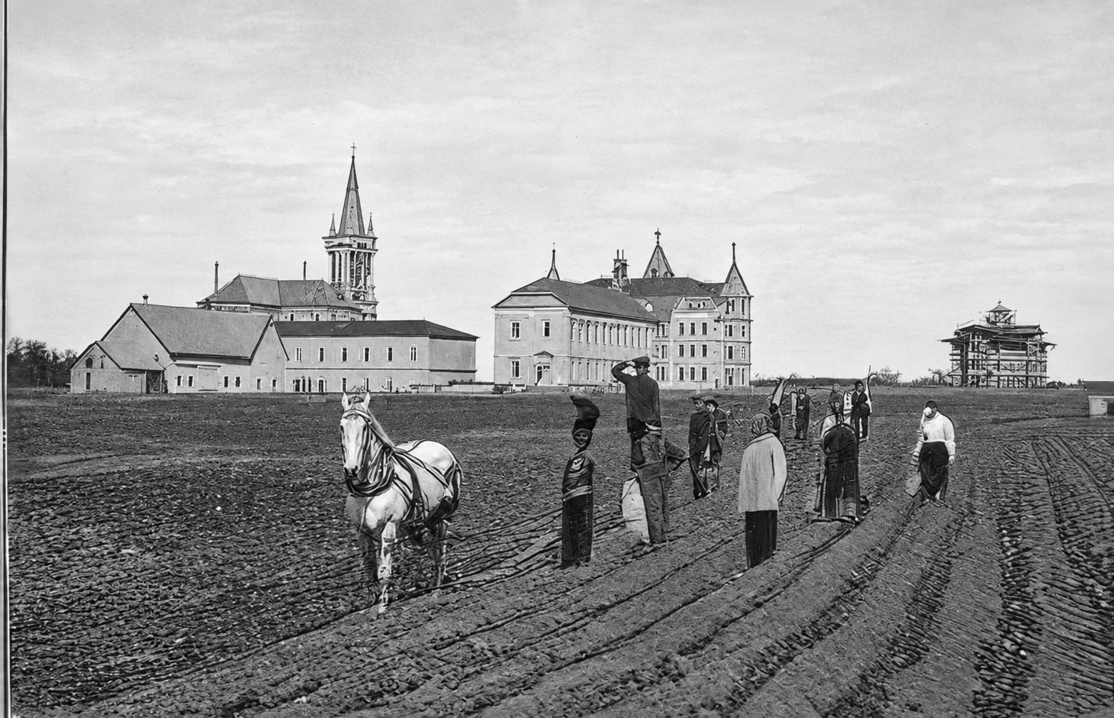 Collège - Extérieur - champ de patates