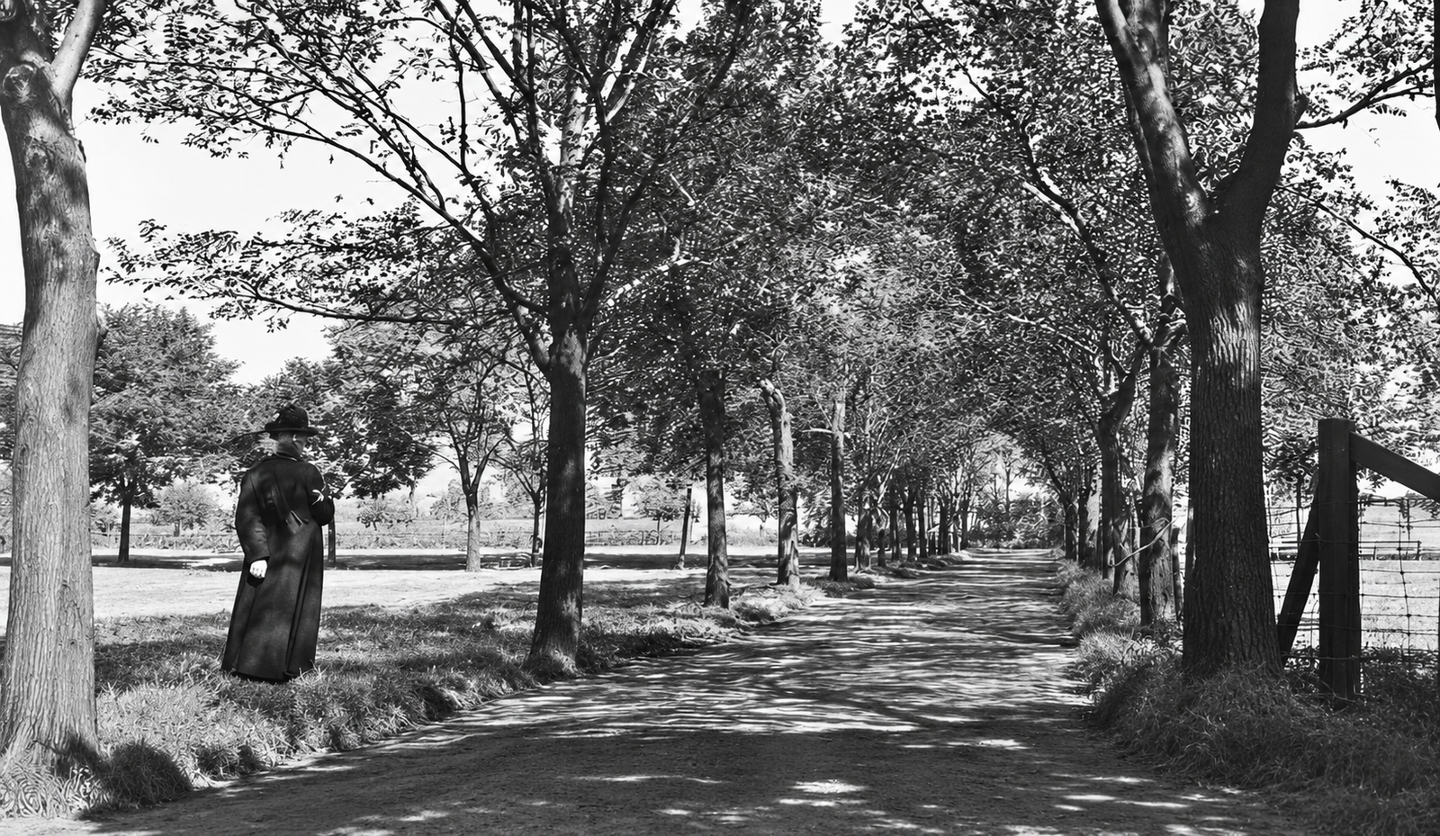 Allée du cimetière